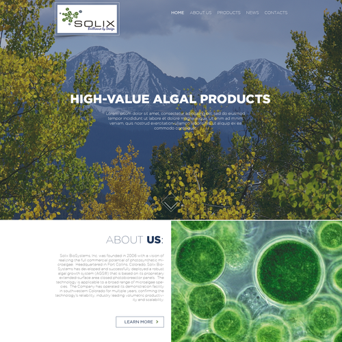 Minimalist website with the title 'Web Design for Algal Products Company'
