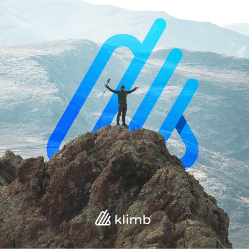 Crypto brand with the title 'Minimalist Looking Logo'