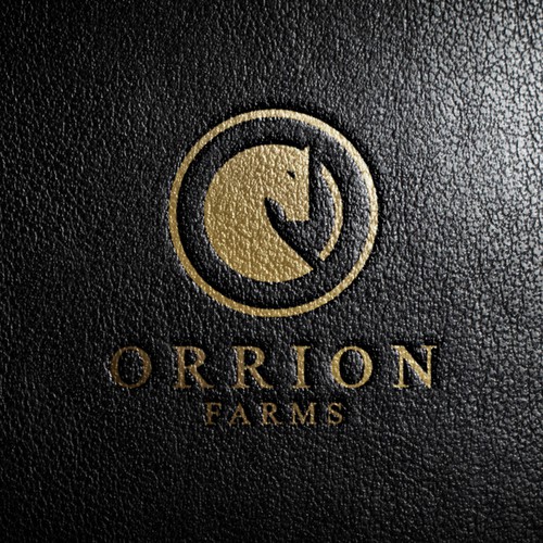 Horse design with the title 'Arabian horse farm'