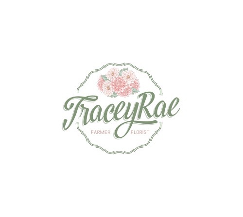 Daisy logo with the title 'Farmer Florist Logo Design'