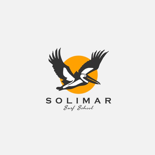 Flying logo with the title 'Creating logo for Solimar'