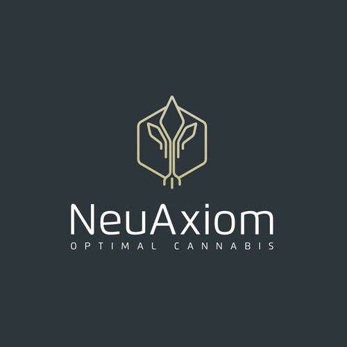 Sophisticated brand with the title 'NeuAxiom logo'