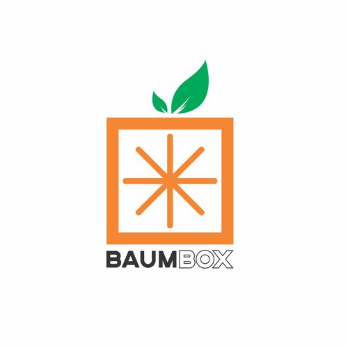 Citrus logo with the title 'logo concept for BaumBox'