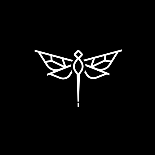 Dragonfly design with the title 'Dragon Fly Character logo'