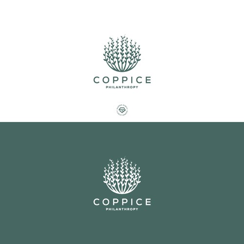 Planet logo with the title 'Coppice Philanthropy'