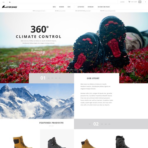 Website with the title 'Viking'