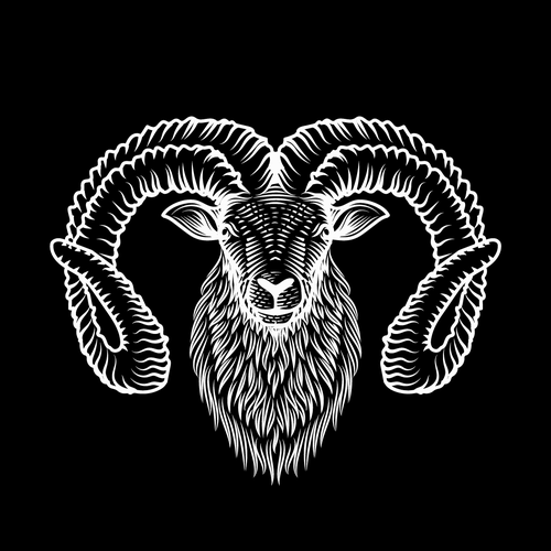 Coffee design with the title 'Concept Logo for Wilderlove Coffee'