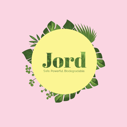 Subtle logo with the title 'Eco Friendly Cleaning Product Logo'