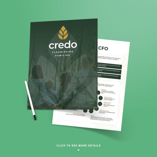 Promotional design with the title 'Financial Business Brochure '