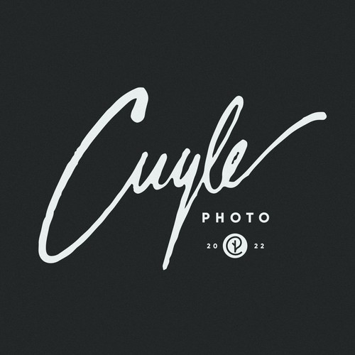 Brush stroke logo with the title 'Custom Lettering Logo Design'