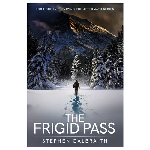 Poster book cover with the title 'Dark & cold Post-Apocalypse book'