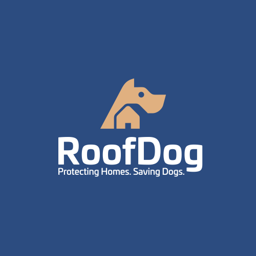 Bully dog logo with the title 'HOME + DOG'