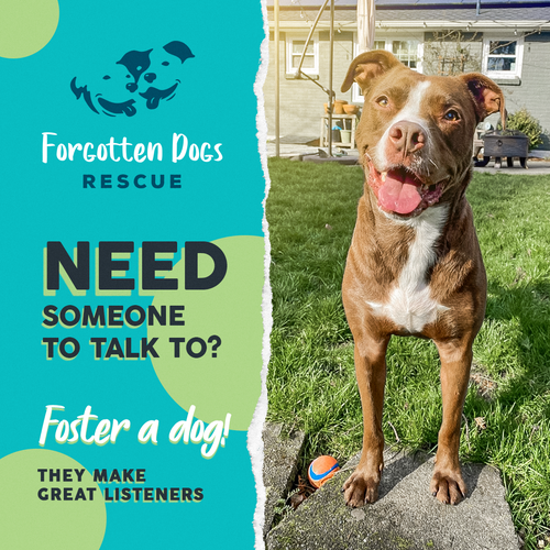 Instagram ad design with the title 'Facebook Instagram Ad'