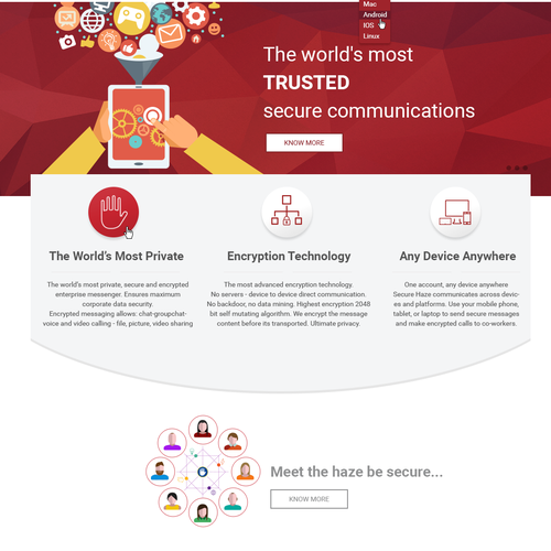 Security website with the title 'Website design for Security company'