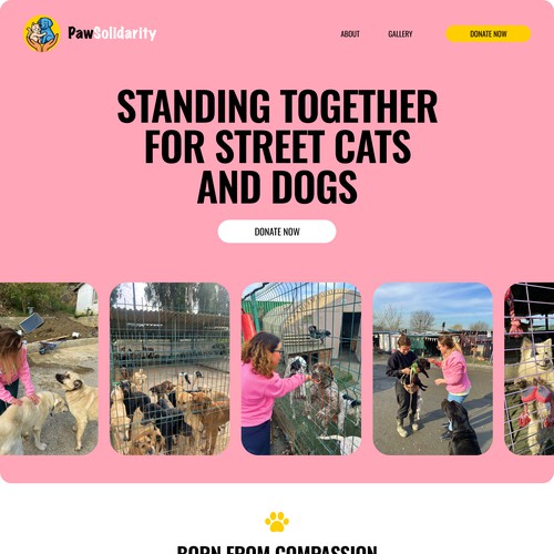 Paw design with the title 'Website for animal charity organisation | Paw Solidarity'