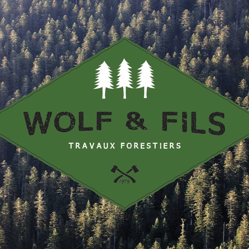 Woodworking logo with the title 'creation d'un logo'