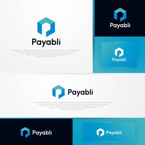 Payments logo with the title 'Payabli'