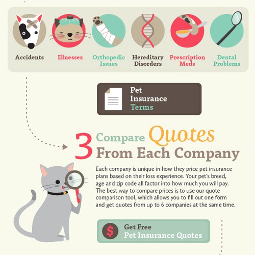 Guide design with the title 'Infographic for Pet Insurance Agency'
