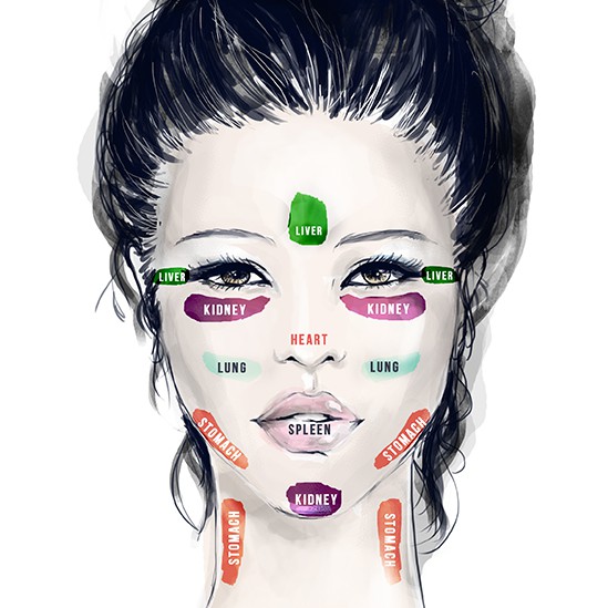 Cosmetics illustration with the title 'Face illustration'