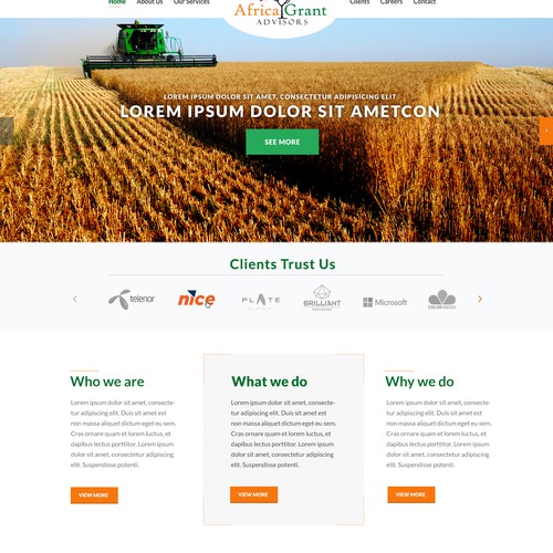 Classic website with the title 'Website design for Africa-focused consultancy!'