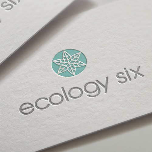 Gray design with the title 'Ecology Six logo'