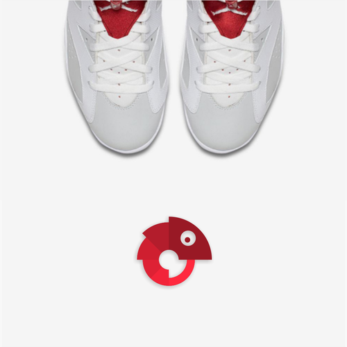 Chameleon logo with the title 'Snap App Labs'