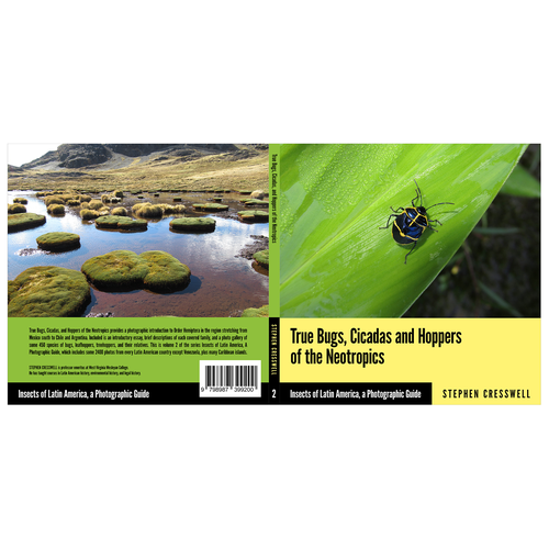 Insect design with the title 'Cover design for a book on Latin American insects'