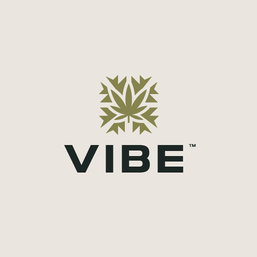 Cool logo with the title 'VIBE'