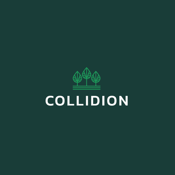 Simple logo with the title 'Collidion Logo Redesign'