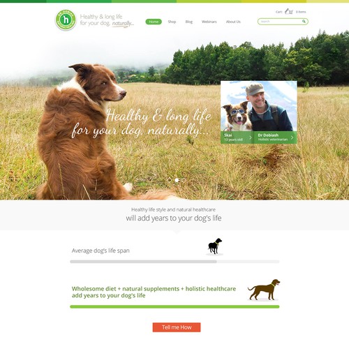 Medical website with the title 'Natural Healing For Dogs'