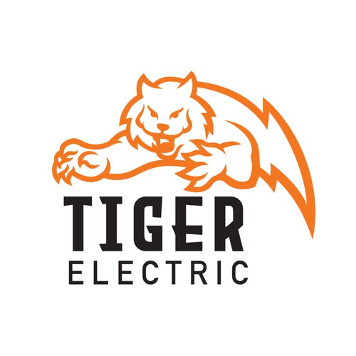 Tiger Branding Ideas - 22+ Best Tiger Brand Identity Designs 2024