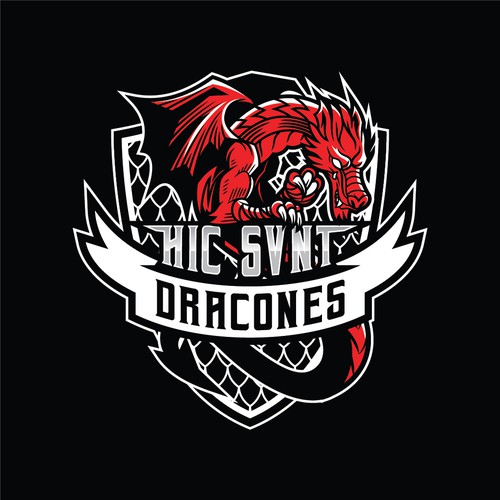 dragon logos design