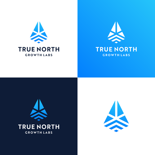Arrow up logo with the title 'North Growth '