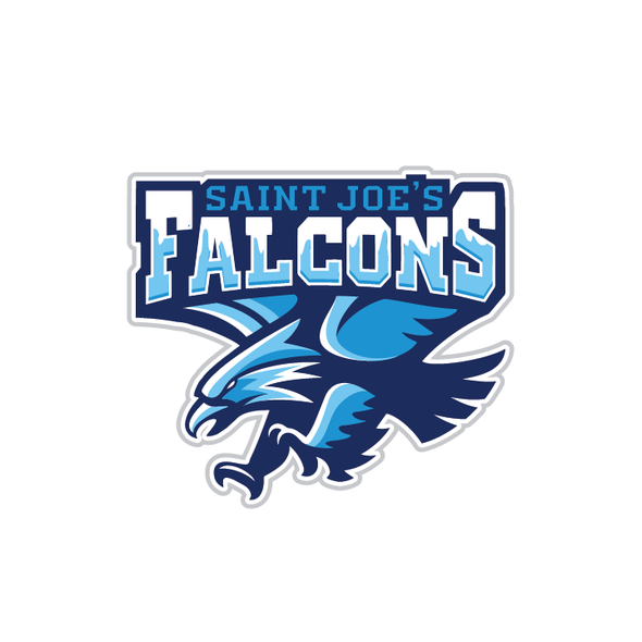 Emblem t-shirt with the title 'Falcons'