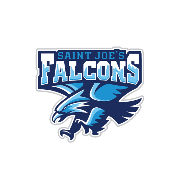 Light Blue Brothers Falcons T-Shirt