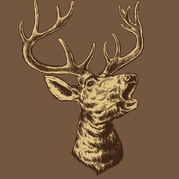 Hipster illustration with the title 'Deer drawing'