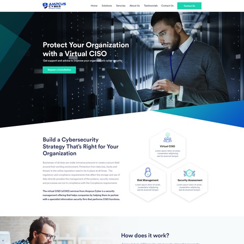 IT design with the title 'landing page for our Virtual CISO services'