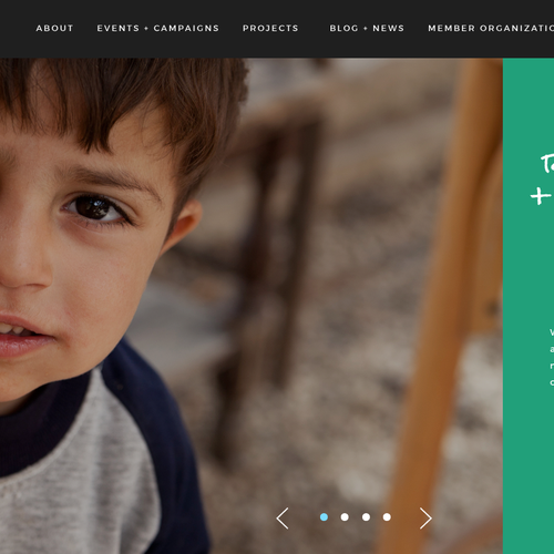 Organization design with the title 'ARCS Non-Profit Homepage'