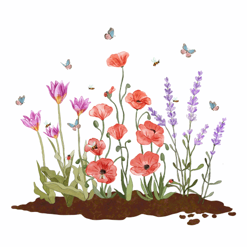Garden design with the title 'Insects friendly garden gif'