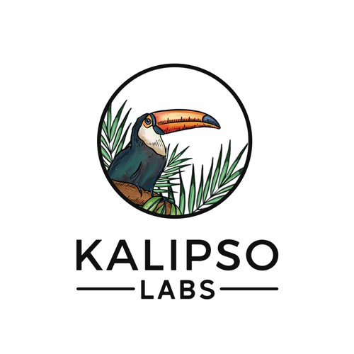 Bird logo with the title 'kalipso labs'
