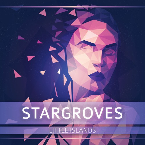 Vector artwork with the title 'Low poly art album cover'