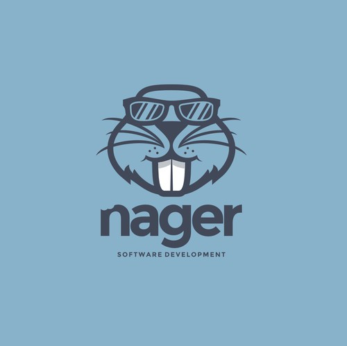 Computer design with the title 'Logo design for nager software development'