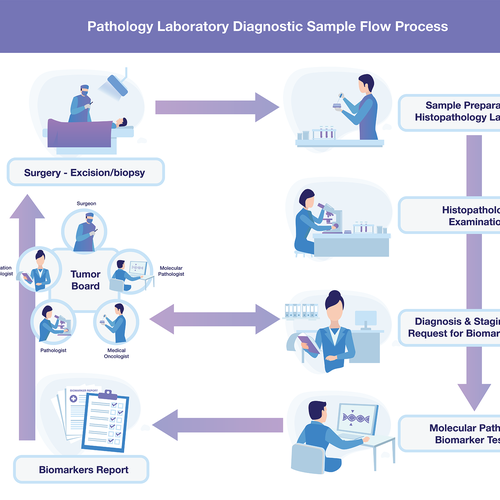 Medical artwork with the title 'Illustrations for a Pathology Laboratory Diagnostics Process'