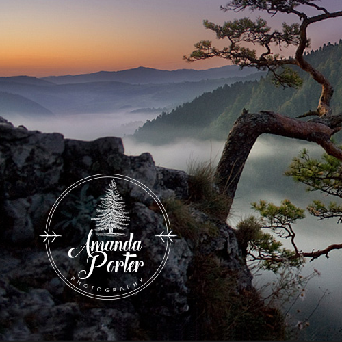 Spruce design with the title 'Amanda Porter Photography'