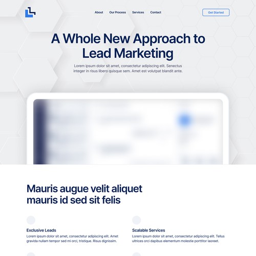 Layout website with the title 'LocalLeads'