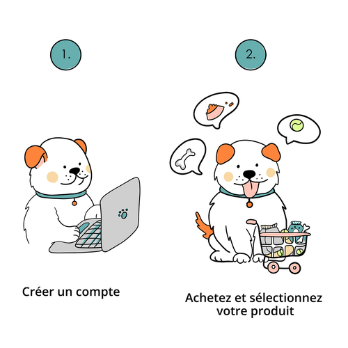 Pet illustration with the title 'Illustration for a veterinary online store.'