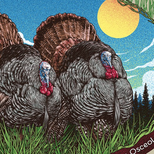 Sports t-shirt with the title 'Florida Wild Turkey'