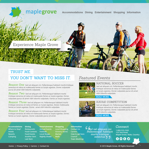 User-friendly website with the title 'Fun and professional'