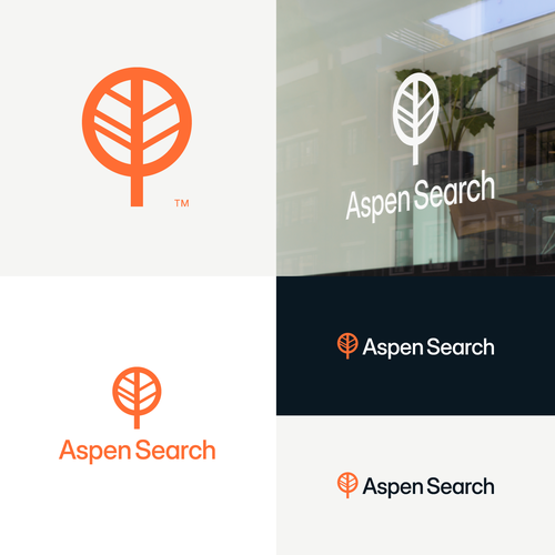 Recruitment design with the title 'Aspen Search Logo'