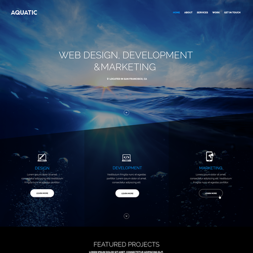 Website with the title 'Create a website for Aquatic, a brand new development studio!'